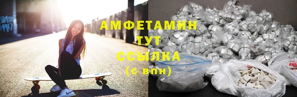 гидра Арсеньев