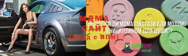 гидра Арсеньев