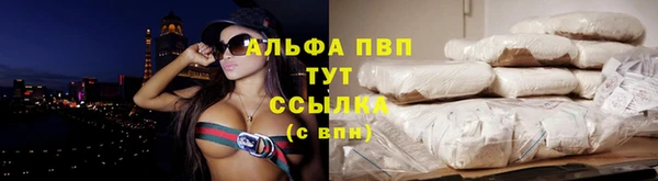 гидра Арсеньев