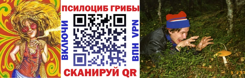 нарко площадка Telegram  Кувшиново  Галлюциногенные грибы MAGIC MUSHROOMS  где купить наркоту 